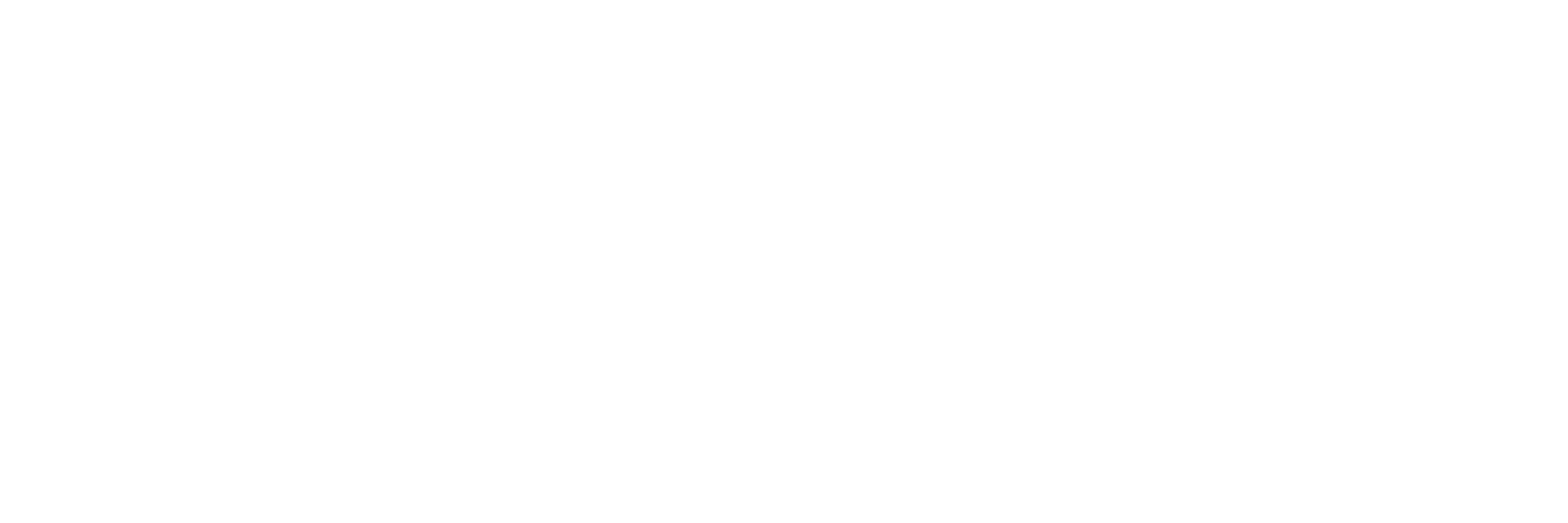 NoLimit BIO white logo